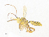  ( - CBG-A31834-B10)  @11 [ ] CreativeCommons - Attribution Share - Alike (2024) CBG Photography Group Centre for Biodiversity Genomics