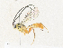  ( - CBG-A31834-C04)  @11 [ ] CreativeCommons - Attribution Share - Alike (2024) CBG Photography Group Centre for Biodiversity Genomics