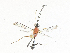  ( - CBG-A31834-G01)  @11 [ ] CreativeCommons - Attribution Share - Alike (2024) CBG Photography Group Centre for Biodiversity Genomics