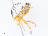  ( - CBG-A33502-C12)  @11 [ ] CreativeCommons - Attribution Share - Alike (2024) CBG Photography Group Centre for Biodiversity Genomics
