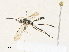  ( - CBG-A33503-B01)  @11 [ ] CreativeCommons - Attribution Share - Alike (2024) CBG Photography Group Centre for Biodiversity Genomics