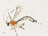  ( - CBG-A33503-B06)  @11 [ ] CreativeCommons - Attribution Share - Alike (2024) CBG Photography Group Centre for Biodiversity Genomics