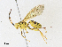  ( - CBG-A33503-F09)  @11 [ ] CreativeCommons - Attribution Share - Alike (2024) CBG Photography Group Centre for Biodiversity Genomics
