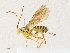  ( - CBG-A33504-A05)  @11 [ ] CreativeCommons - Attribution Share - Alike (2024) CBG Photography Group Centre for Biodiversity Genomics