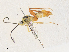  ( - CBG-A33504-C02)  @11 [ ] CreativeCommons - Attribution Share - Alike (2024) CBG Photography Group Centre for Biodiversity Genomics