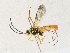  ( - CBG-A33504-C05)  @11 [ ] CreativeCommons - Attribution Share - Alike (2024) CBG Photography Group Centre for Biodiversity Genomics