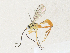  ( - CBG-A33504-C06)  @11 [ ] CreativeCommons - Attribution Share - Alike (2024) CBG Photography Group Centre for Biodiversity Genomics