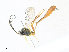  ( - CBG-A33505-G11)  @11 [ ] CreativeCommons - Attribution Share - Alike (2024) CBG Photography Group Centre for Biodiversity Genomics