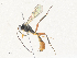  ( - CBG-A33506-C05)  @11 [ ] CreativeCommons - Attribution Share - Alike (2024) CBG Photography Group Centre for Biodiversity Genomics