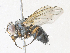  ( - CBG-A34285-C11)  @11 [ ] CreativeCommons - Attribution Share - Alike (2024) CBG Photography Group Centre for Biodiversity Genomics