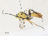  ( - CBG-A34285-E05)  @11 [ ] CreativeCommons - Attribution Share - Alike (2024) CBG Photography Group Centre for Biodiversity Genomics