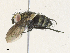  ( - CBG-A34286-E01)  @11 [ ] CreativeCommons - Attribution Share - Alike (2024) CBG Photography Group Centre for Biodiversity Genomics