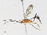  ( - CBG-A34287-F03)  @11 [ ] CreativeCommons - Attribution Share - Alike (2024) CBG Photography Group Centre for Biodiversity Genomics
