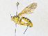  ( - CBG-A34289-A07)  @11 [ ] CreativeCommons - Attribution Share - Alike (2024) CBG Photography Group Centre for Biodiversity Genomics
