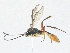  ( - CBG-A34289-C01)  @11 [ ] CreativeCommons - Attribution Share - Alike (2024) CBG Photography Group Centre for Biodiversity Genomics