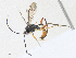  ( - CBG-A34289-C07)  @11 [ ] CreativeCommons - Attribution Share - Alike (2024) CBG Photography Group Centre for Biodiversity Genomics