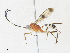  ( - CBG-A34289-C08)  @11 [ ] CreativeCommons - Attribution Share - Alike (2024) CBG Photography Group Centre for Biodiversity Genomics