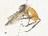  ( - CBG-A34290-C06)  @11 [ ] CreativeCommons - Attribution Share - Alike (2024) CBG Photography Group Centre for Biodiversity Genomics