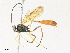  ( - CBG-A34290-F07)  @11 [ ] CreativeCommons - Attribution Share - Alike (2024) CBG Photography Group Centre for Biodiversity Genomics
