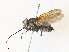  ( - CBG-A34300-D07)  @11 [ ] CreativeCommons - Attribution Share - Alike (2024) CBG Photography Group Centre for Biodiversity Genomics