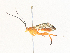  ( - CBG-A34300-E01)  @11 [ ] CreativeCommons - Attribution Share - Alike (2024) CBG Photography Group Centre for Biodiversity Genomics