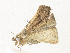  ( - CBG-A34300-E07)  @11 [ ] CreativeCommons - Attribution Share - Alike (2024) CBG Photography Group Centre for Biodiversity Genomics
