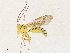  ( - CBG-A33487-E02)  @11 [ ] CreativeCommons - Attribution Share-Alike (2024) CBG Photography Group Centre for Biodiversity Genomics