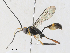  ( - CBG-A33487-F04)  @11 [ ] CreativeCommons - Attribution Share-Alike (2024) CBG Photography Group Centre for Biodiversity Genomics