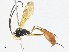  ( - CBG-A33487-G01)  @11 [ ] CreativeCommons - Attribution Share-Alike (2024) CBG Photography Group Centre for Biodiversity Genomics