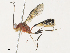  ( - CBG-A33487-G07)  @11 [ ] CreativeCommons - Attribution Share-Alike (2024) CBG Photography Group Centre for Biodiversity Genomics