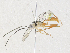  ( - CBG-A33488-F04)  @11 [ ] CreativeCommons - Attribution Share - Alike (2024) CBG Photography Group Centre for Biodiversity Genomics