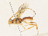  ( - CBG-A33489-H07)  @11 [ ] CreativeCommons - Attribution Share - Alike (2024) CBG Photography Group Centre for Biodiversity Genomics