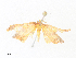  ( - CBG-A33490-C11)  @11 [ ] CreativeCommons - Attribution Share - Alike (2024) CBG Photography Group Centre for Biodiversity Genomics