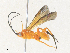  ( - CBG-A33490-E04)  @11 [ ] CreativeCommons - Attribution Share - Alike (2024) CBG Photography Group Centre for Biodiversity Genomics