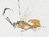  ( - CBG-A33492-A06)  @11 [ ] CreativeCommons - Attribution Share-Alike (2024) CBG Photography Group Centre for Biodiversity Genomics