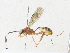  ( - CBG-A33492-A09)  @11 [ ] CreativeCommons - Attribution Share-Alike (2024) CBG Photography Group Centre for Biodiversity Genomics
