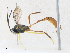  ( - CBG-A33492-D05)  @11 [ ] CreativeCommons - Attribution Share-Alike (2024) CBG Photography Group Centre for Biodiversity Genomics