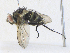  ( - CBG-A33492-G02)  @11 [ ] CreativeCommons - Attribution Share-Alike (2024) CBG Photography Group Centre for Biodiversity Genomics