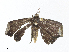  ( - CBG-A34309-G12)  @11 [ ] CreativeCommons - Attribution Share - Alike (2024) CBG Photography Group Centre for Biodiversity Genomics