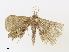  ( - CBG-A34319-A11)  @11 [ ] CreativeCommons - Attribution Share - Alike (2024) CBG Photography Group Centre for Biodiversity Genomics