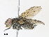  ( - CBG-A34319-E10)  @11 [ ] CreativeCommons - Attribution Share - Alike (2024) CBG Photography Group Centre for Biodiversity Genomics