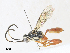  ( - CBG-A34320-F12)  @11 [ ] CreativeCommons - Attribution Share - Alike (2024) CBG Photography Group Centre for Biodiversity Genomics