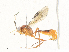  ( - CBG-A34321-C01)  @11 [ ] CreativeCommons - Attribution Share - Alike (2024) CBG Photography Group Centre for Biodiversity Genomics