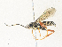  ( - CBG-A34322-C06)  @11 [ ] CreativeCommons - Attribution Share - Alike (2024) CBG Photography Group Centre for Biodiversity Genomics