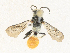  ( - CBG-A34322-D02)  @11 [ ] CreativeCommons - Attribution Share - Alike (2024) CBG Photography Group Centre for Biodiversity Genomics
