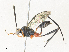  ( - CBG-A34322-E07)  @11 [ ] CreativeCommons - Attribution Share - Alike (2024) CBG Photography Group Centre for Biodiversity Genomics