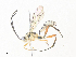  ( - CBG-A34323-C10)  @11 [ ] CreativeCommons - Attribution Share - Alike (2024) CBG Photography Group Centre for Biodiversity Genomics