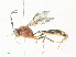  ( - CBG-A34323-D10)  @11 [ ] CreativeCommons - Attribution Share - Alike (2024) CBG Photography Group Centre for Biodiversity Genomics