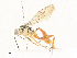  ( - CBG-A34323-E01)  @11 [ ] CreativeCommons - Attribution Share - Alike (2024) CBG Photography Group Centre for Biodiversity Genomics