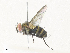  ( - CBG-A34323-E07)  @11 [ ] CreativeCommons - Attribution Share - Alike (2024) CBG Photography Group Centre for Biodiversity Genomics